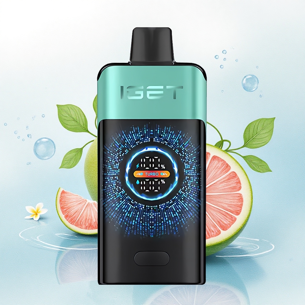 IGET ONE 12000 Puffs Bergbron Munt IJs met 2700 mAh en Dual Mesh Coil