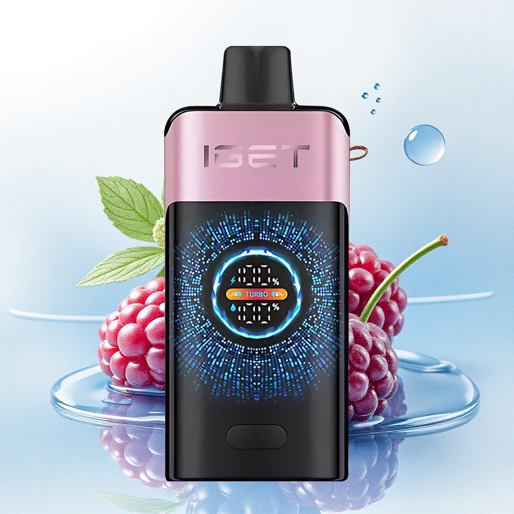 IGET ONE 12000 Puffs Brambes IJs 2700 mAh Dual Mesh