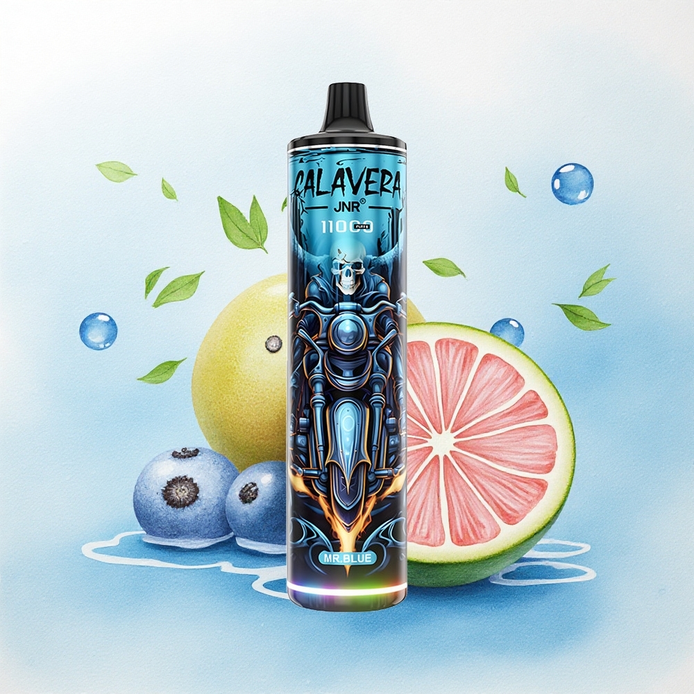 JNR Calavera 11000 De Blauwe met Type-C en 850 mAh