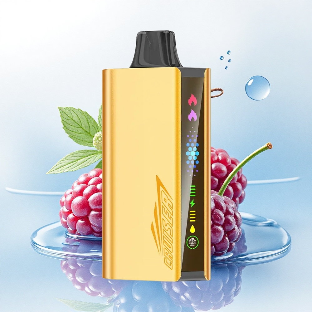 JNR Cruiser 12000 Braambes IJs Met 50mg/mL Nicotine en 3500 mAh Batterij