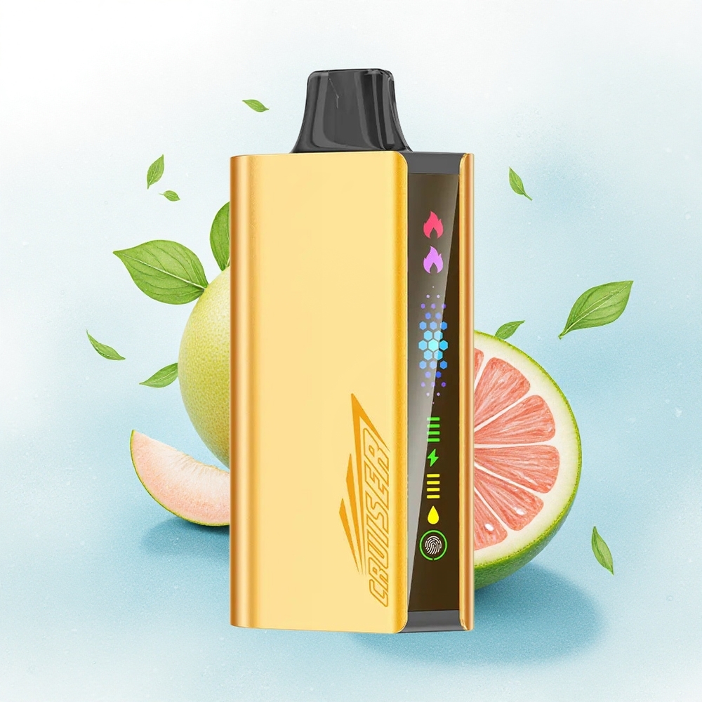 JNR Cruiser 12000 Koel Munt Dual Mesh Coil 1.2ohm 3500 mAh Batterij