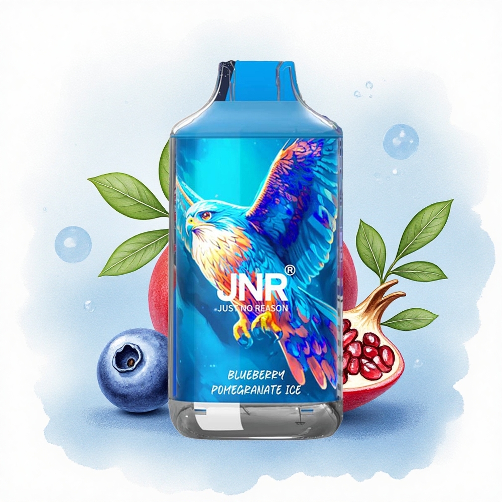 JNR Falcon 16000 Blauwe Bes Granaatappel IJs met Dual Mesh Coil en 850 mAh