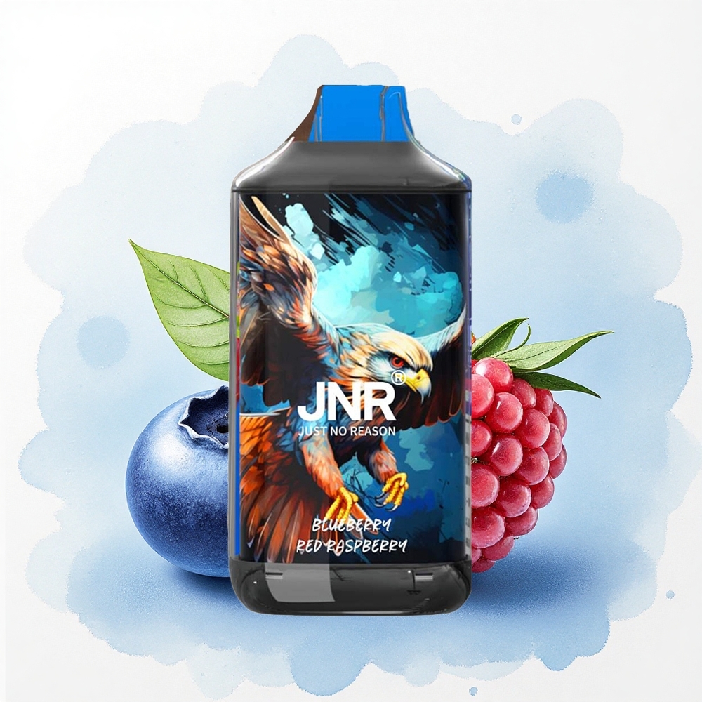 JNR Falcon 16000 Blauwe Bes Rode Framboos met Dual Mesh Coil en 850 mAh