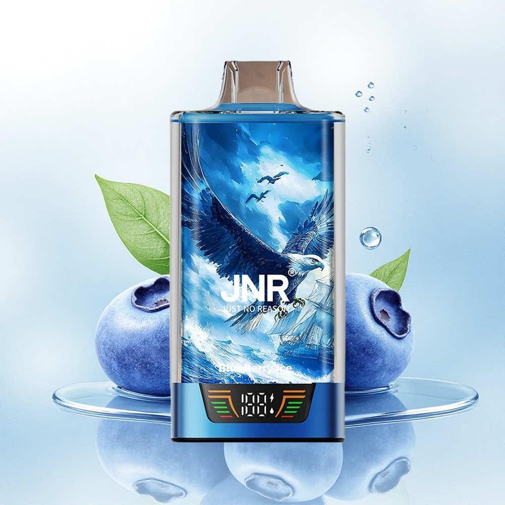 JNR Falcon Pro 28000 Blauwe Bes IJs 950mAh 5% Nicotine Dual Mesh Coil