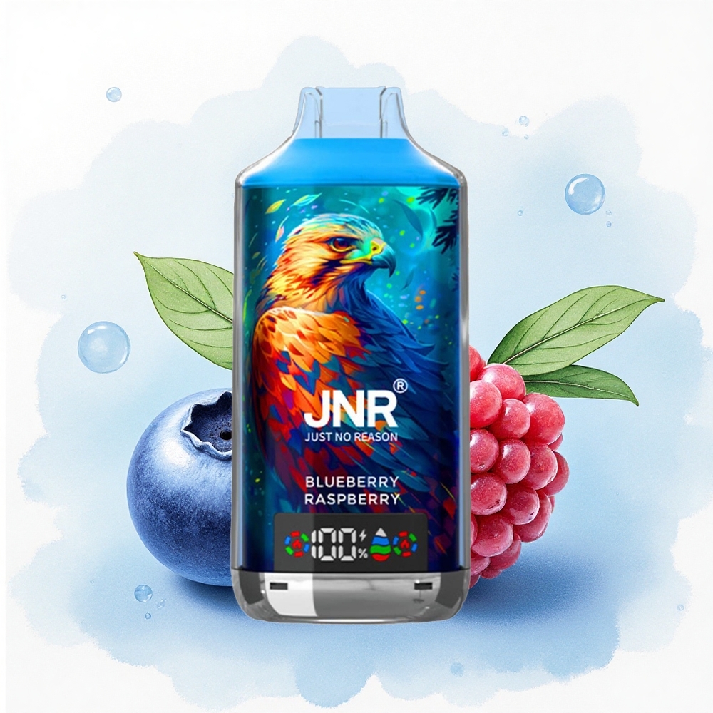 JNR Falcon X 18000 Blauwe Bes Framboos 750mAh Dual Mesh Coil