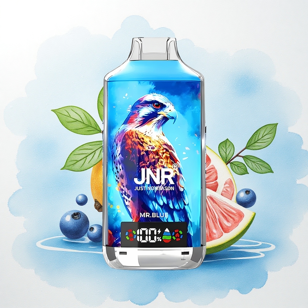 JNR Falcon X 18000 De Blauwe Heer 24ml Dual Mesh 750mAh