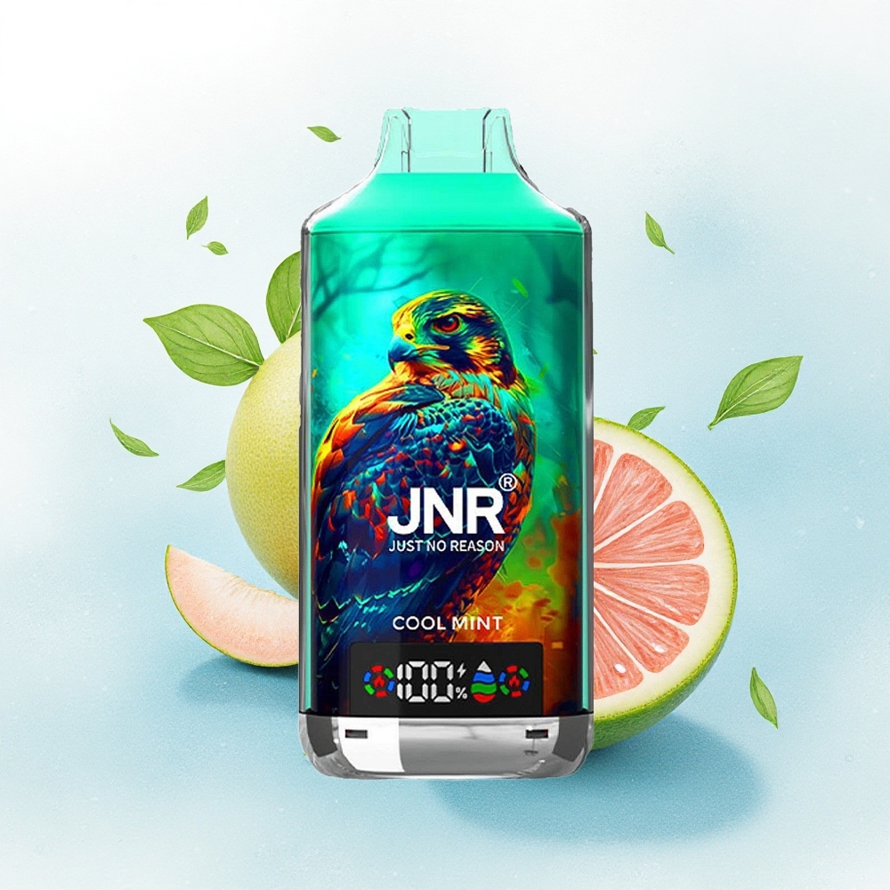 JNR Falcon X 18000 Frisse Munt 750mAh Dual Mesh