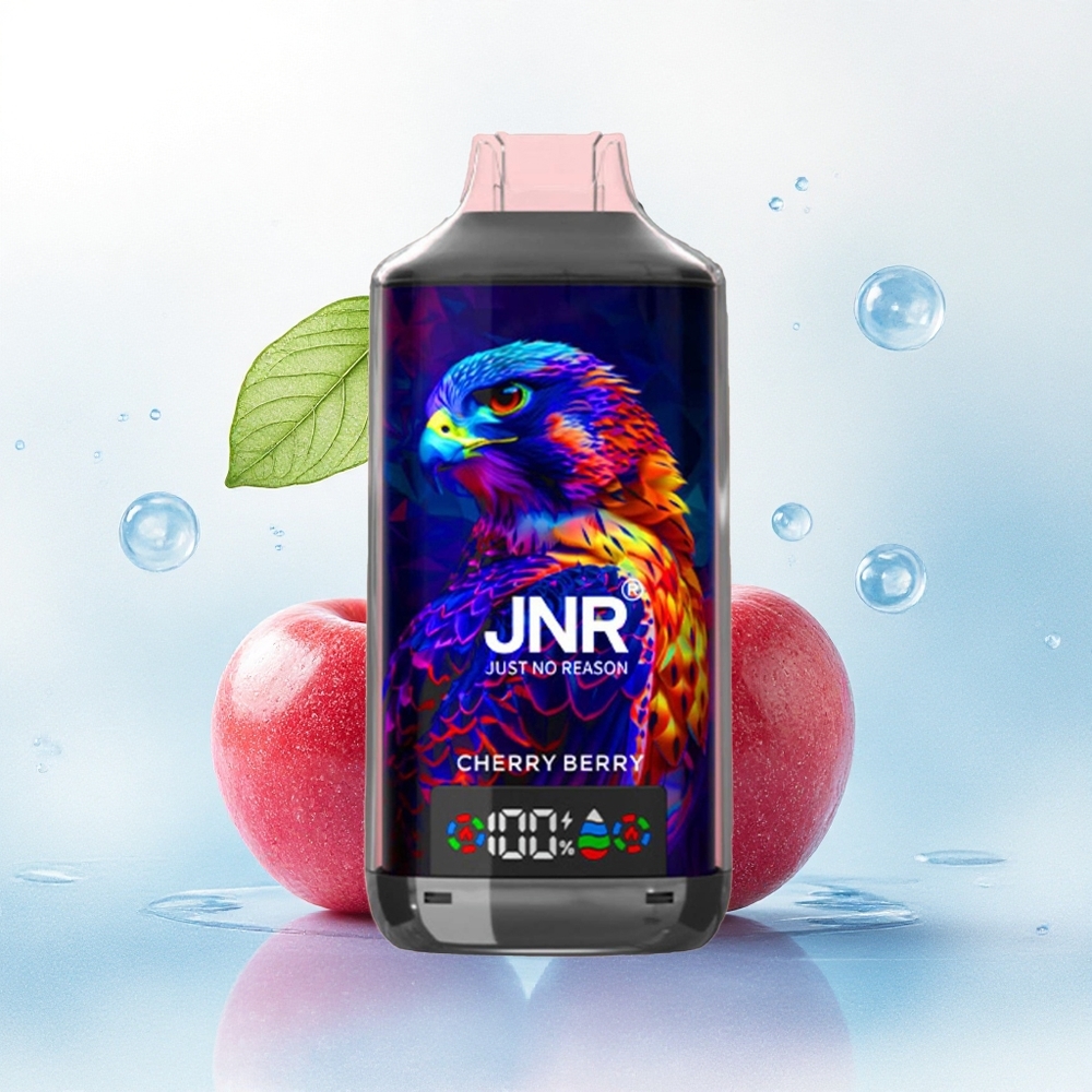 JNR Falcon X 18000 Kersbes 750mAh Dual Mesh 24ml