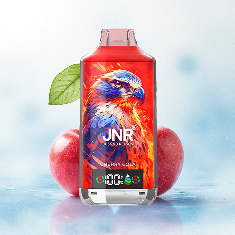 JNR Falcon X 18000 Kersen Reden 750mAh 24ml Dual Mesh