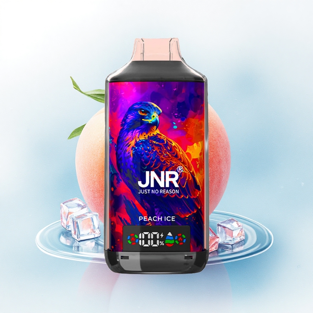 JNR Falcon X 18000 Perzijs IJs 24ml 750mAh