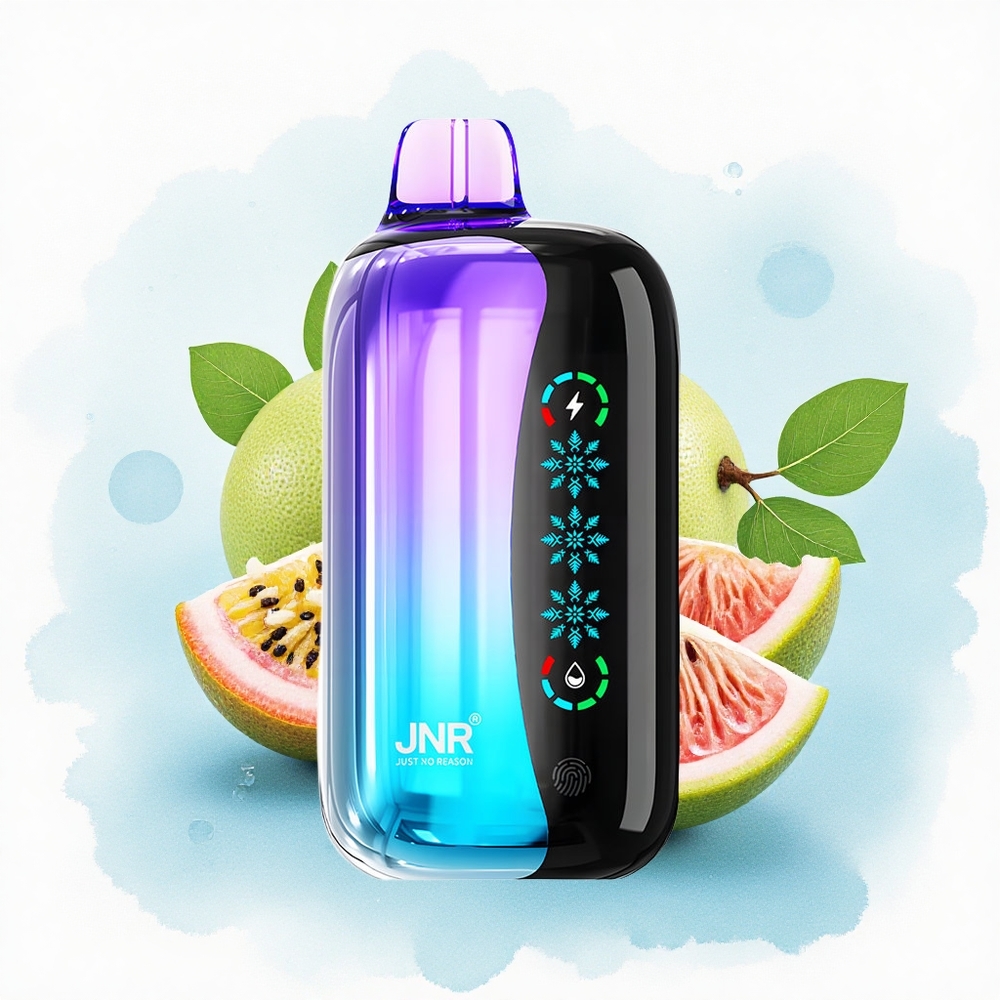 JNR Flex Ice 21000 Kiwi Passievrucht Guava Aanpasbare IJs 1000mAh Type-C Oplaadpoort