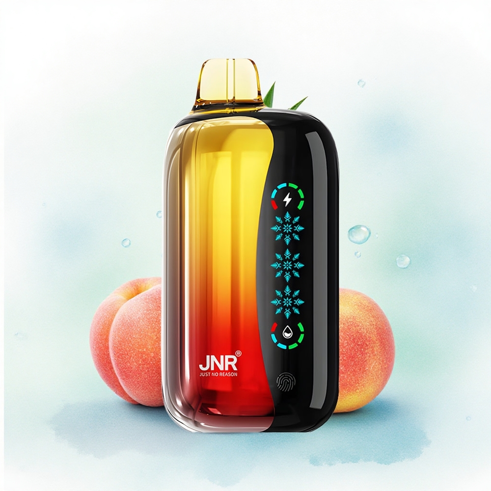 JNR Flex Ice 21000 Perzik Mango Ananas Dual Mesh 1.2 Ohm Type-C Oplaadbaar