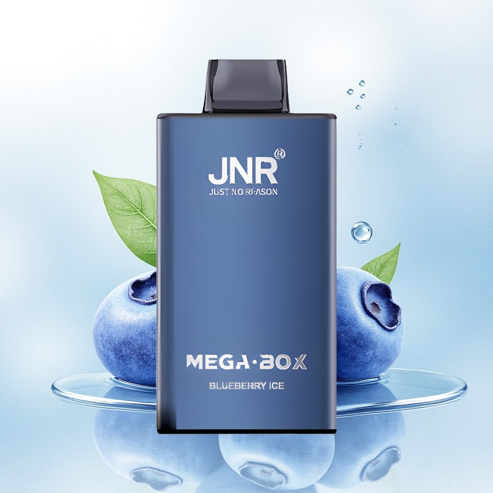 JNR Mega Box 25000 Blauwe Bessen IJs 850mAh Type-C