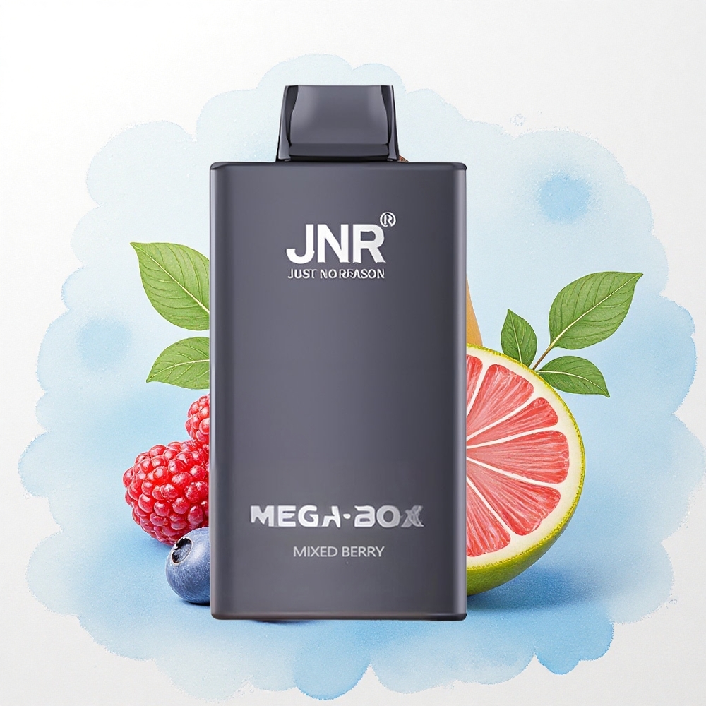 JNR Mega Box 25000 Mixed Bes Dual Mesh Coil & Dual Core 850mAh