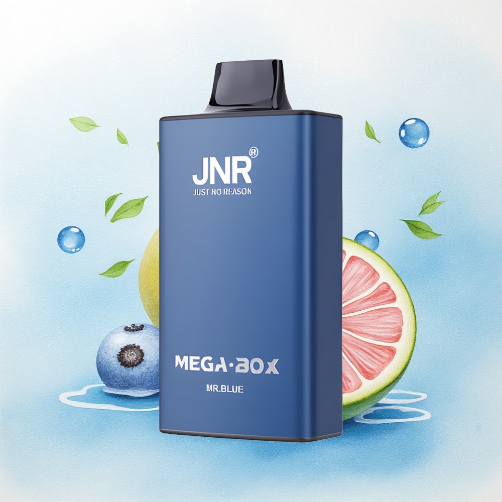 JNR Mega Box 25000 Mr Blauw 30ml 850mAh Dual Mesh