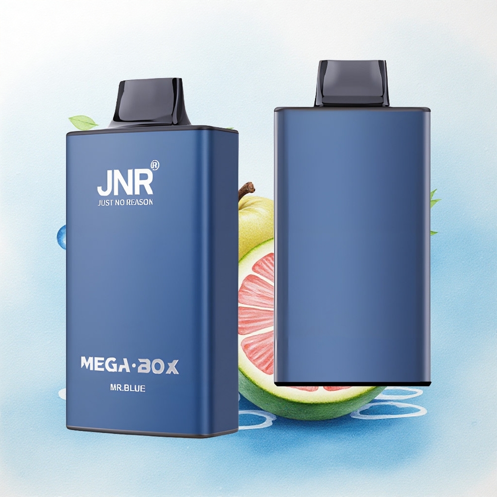 JNR Mega Box 25000 Mr Blauw 30ml 850mAh Dual Mesh