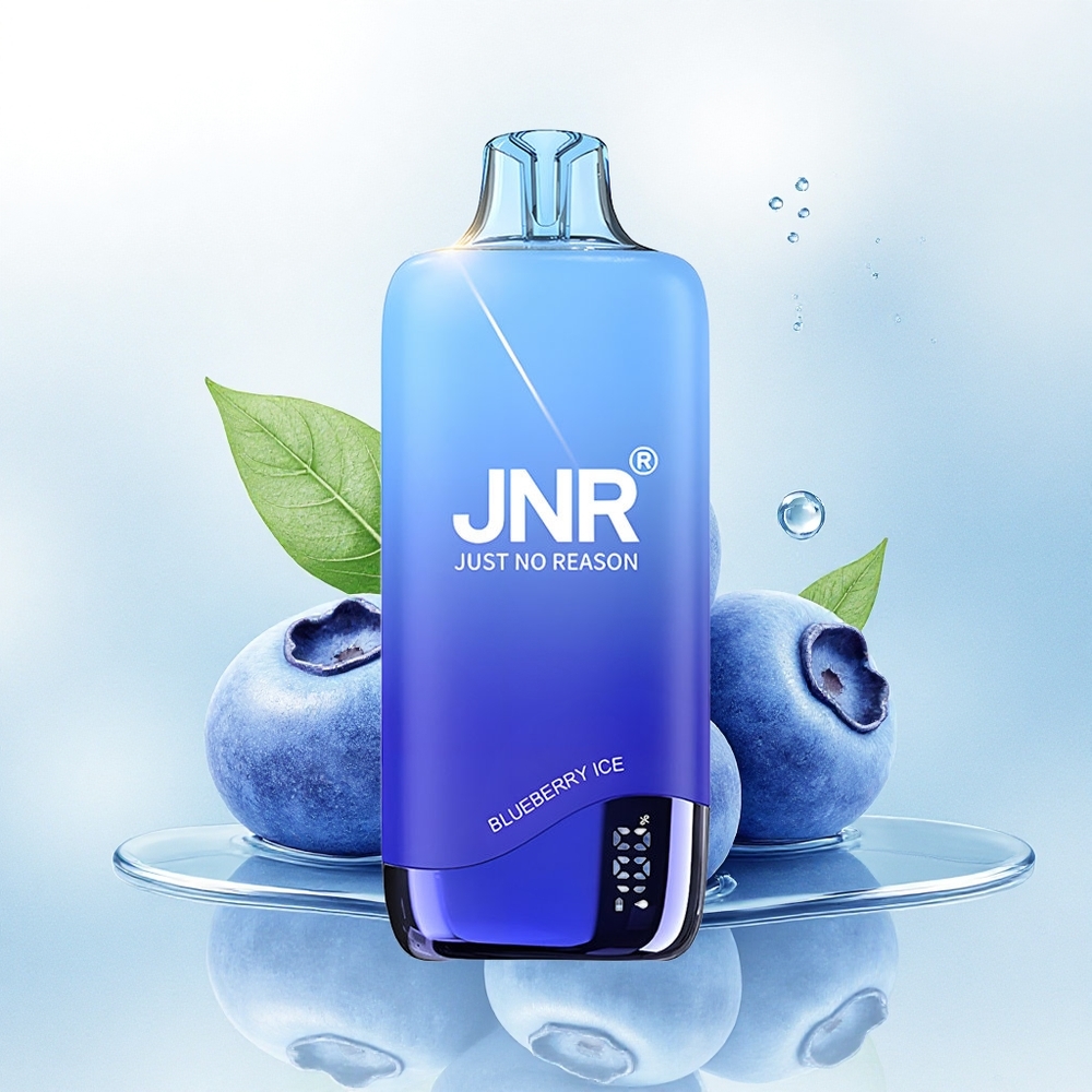 JNR Rainbow 10500 Blauwe Bessen IJs 600mAh 0.8ohm