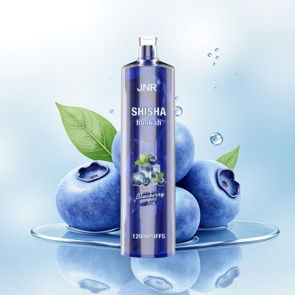 JNR Shisha Hookah 12000 Blauwe Bes IJs 750mAh 24ml 0% Nicotine