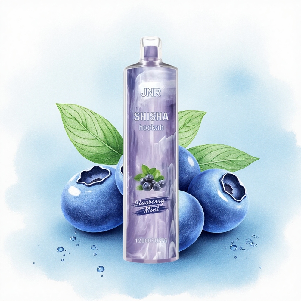 JNR Shisha Hookah 12000 Blauwe Bes Munt 750mAh 0% Nicotine