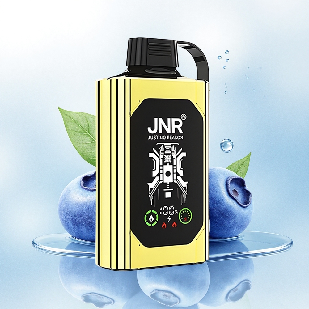 JNR Shisha Hookah Box 20500 Blauwe Bes IJs 25ml 1000mAh Dual Mesh
