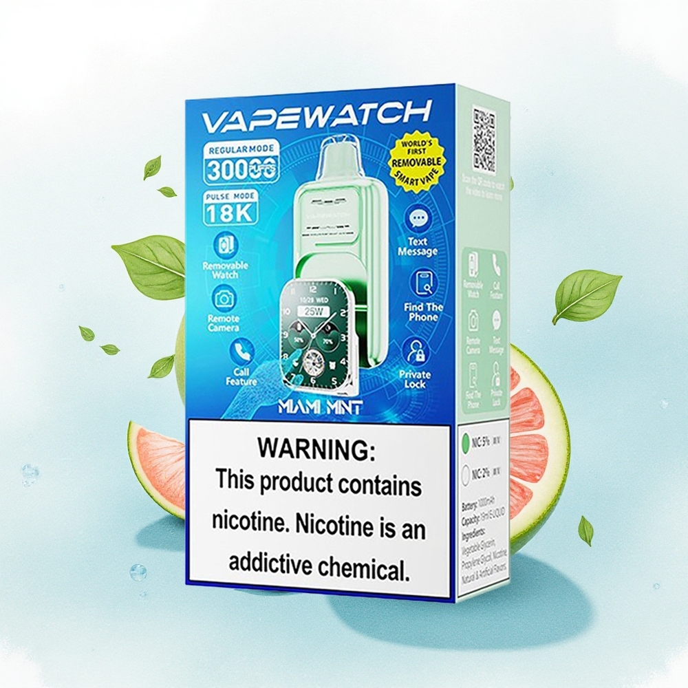 JNR VapeWatch 30000 Dutch Miami Mint 1000mAh Dual Mesh Coil Type-C