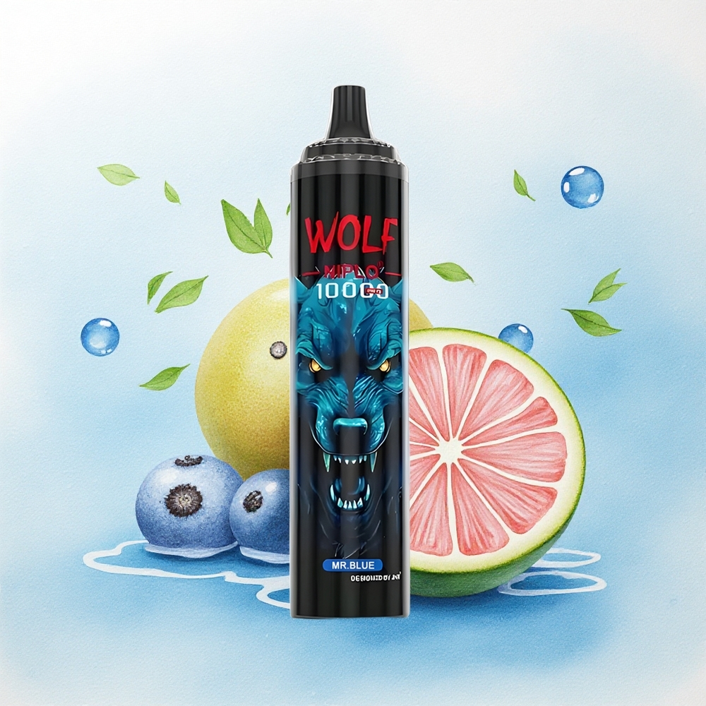JNR Wolf Niplo 10000 Meneer Blauw 20ml 650mAh Type-C