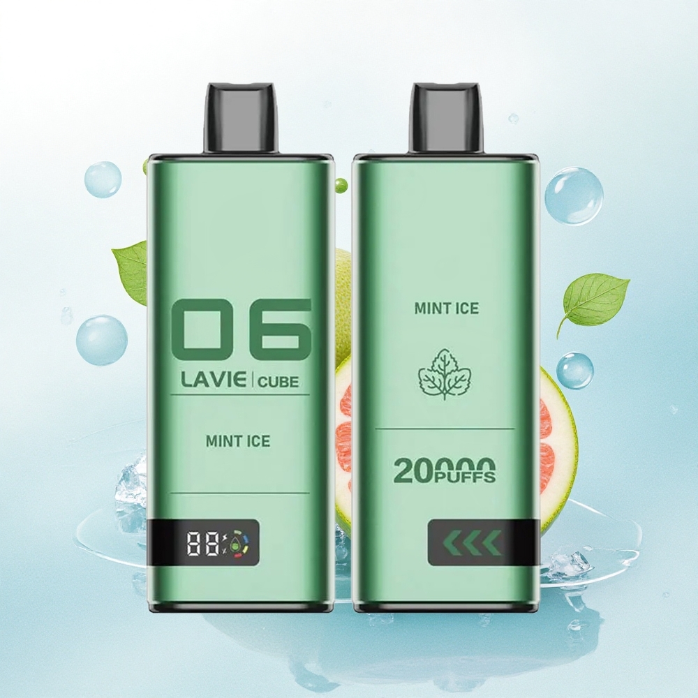 Lavie Cube 20000 Puffs Munt IJs 28ML 5% Nicotine 600mAh