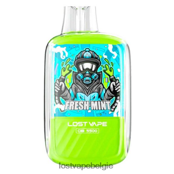 Lost Vape Orion ob5500 5500 pufjes 14 ml 50 mg wegwerpbaar Frisse munt T44F2T101 - Lost Vape Price